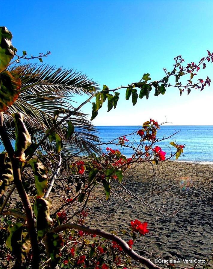 La Palmera. El Amanecer En El Parque Natural Agua Amarga  Extérieur photo